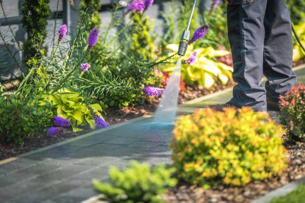 Best Sidewalk and Walkway Pressure Cleaning in Damascus, MD